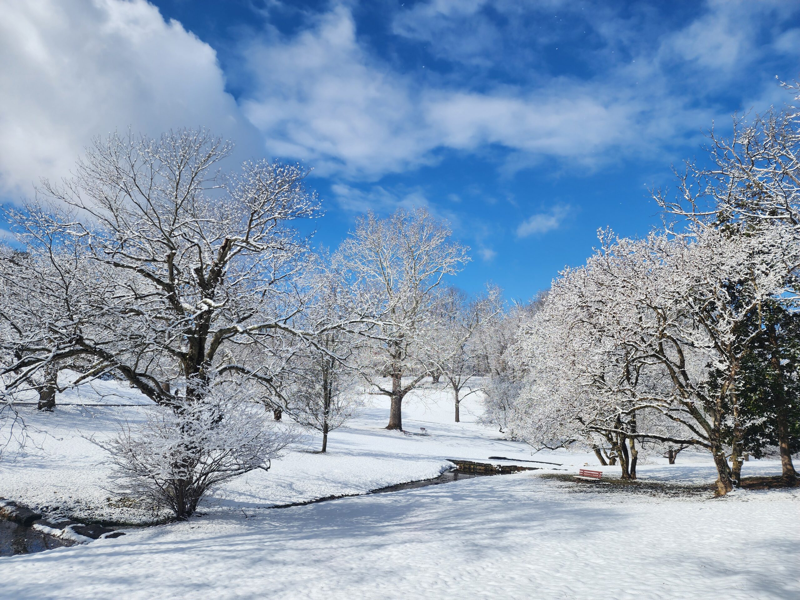 Snow in Delaware by Christi Leeson